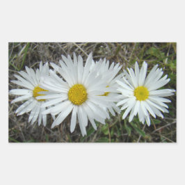 F42 Witte Wilde Bloemen Gladde Aster Rechthoekige Sticker