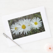 F42 Witte Wilde Bloemen Gladde Aster Rechthoekige Sticker (Envelop)