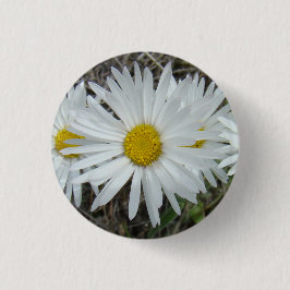 F42 Witte Wilde Bloemen Gladde Aster Ronde Button 3,2 Cm