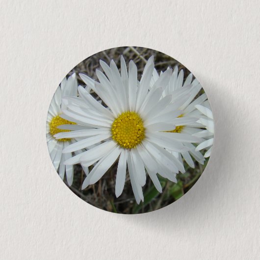 F42 Witte Wilde Bloemen Gladde Aster Ronde Button 3,2 Cm (Voorkant)
