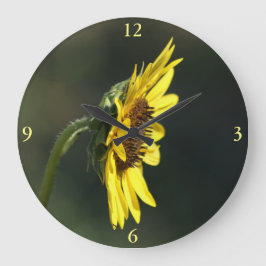 F43 Gele Wilde Bloem Black-eyed Susan Grote Klok