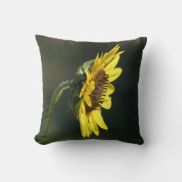 F43 Gele Wilde Bloem Black-eyed Susan Kussen