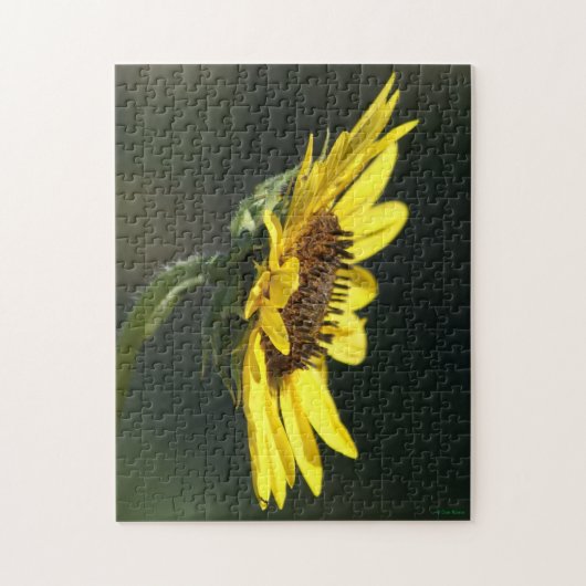 F43 Gele Wilde Bloem Black-eyed Susan Legpuzzel (Verticaal)