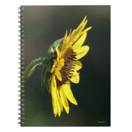 F43 Gele Wilde Bloem Black-eyed Susan Notitieboek