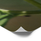 F43 Gele Wilde Bloem Black-eyed Susan Poster (Hoek)