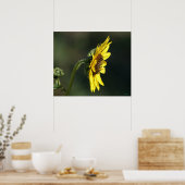 F43 Gele Wilde Bloem Black-eyed Susan Poster (Keuken)