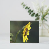 F43 Yellow Wildflower Black-eyed Susan Briefkaart (Staand voorkant)