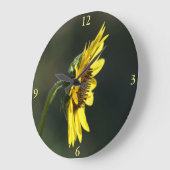 F43 Yellow Wildflower Black-eyed Susan Grote Klok (Hoek)