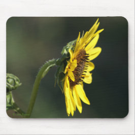 F43 Yellow Wildflower Black-eyed Susan Muismat