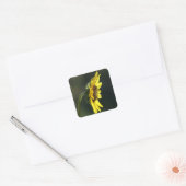 F43 Yellow Wildflower Black-eyed Susan Vierkante Sticker (Envelop)