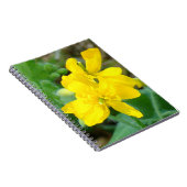 F44 Gele wilde bloem Wilde mosterd Notitieboek (Rechterzijde)