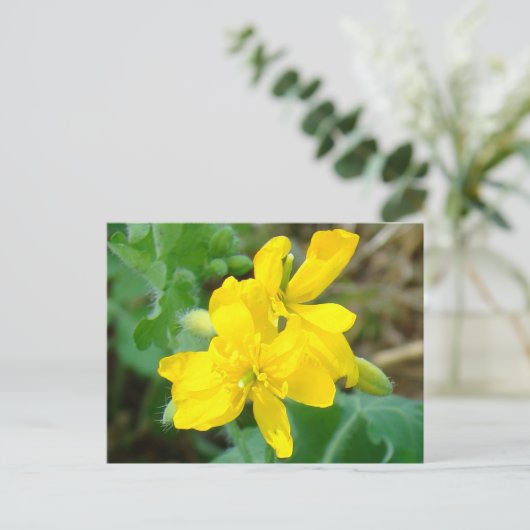 F44 Gele wilde bloemen Wilde mosterd Briefkaart (Staand voorkant)
