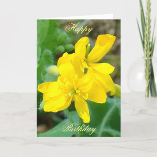 F44 Gele wilde bloemen Wilde mosterd Kaart