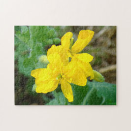 F44 Gele wilde bloemen Wilde mosterd Legpuzzel