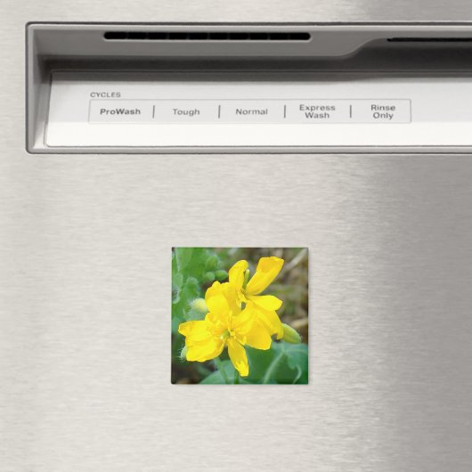 F44 Gele wilde bloemen Wilde mosterd Magneet (Insitu (Vaatwasser))