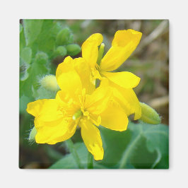 F44 Gele wilde bloemen Wilde mosterd Magneet