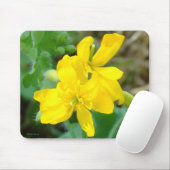 F44 Gele wilde bloemen Wilde mosterd Muismat (Met muis)