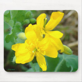 F44 Gele wilde bloemen Wilde mosterd Muismat