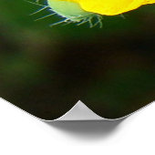 F44 Gele wilde bloemen Wilde mosterd Poster (Hoek)