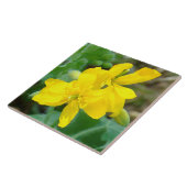 F44 Gele wilde bloemen Wilde mosterd Tegeltje (Zijkant)