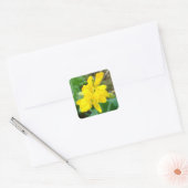 F44 Gele wilde bloemen Wilde mosterd Vierkante Sticker (Envelop)