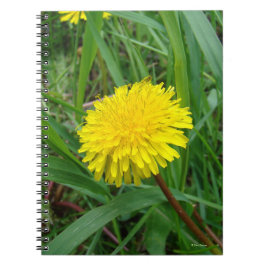 F45 Dandelion Notitieboek