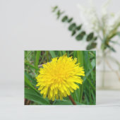 F45 Dandelion "Taraxacum officinale" Briefkaart (Staand voorkant)