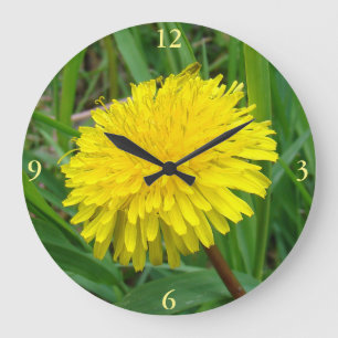 F45 Dandelion "Taraxacum officinale" Grote Klok