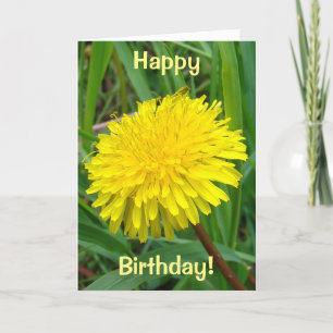 F45 Dandelion "Taraxacum officinale" Kaart
