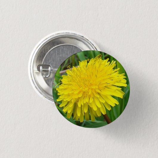 F45 Dandelion "Taraxacum officinale" Ronde Button 3,2 Cm (Voorkant /achterkant)