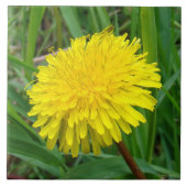 F45 Dandelion "Taraxacum officinale" Tegeltje (Voorkant)