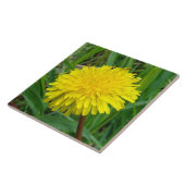 F45 Dandelion "Taraxacum officinale" Tegeltje (Zijkant)