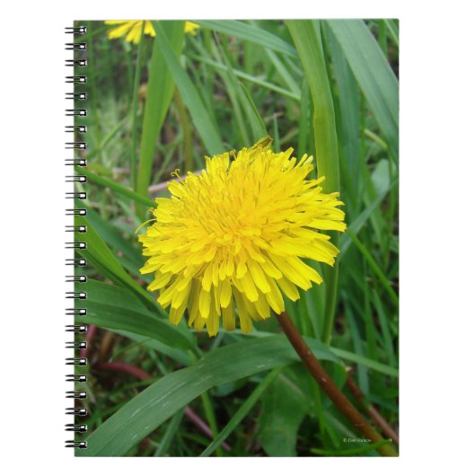 F45 Paardenbloem Notitieboek (Voorkant)