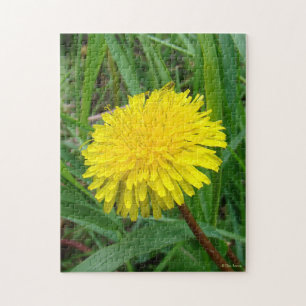 F45 Paardenbloem "Taraxacum officinale" Legpuzzel