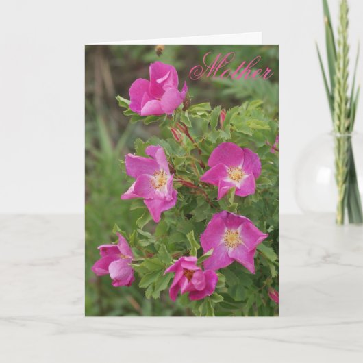 F46 Wilde Rozen Kaart (Voorkant)