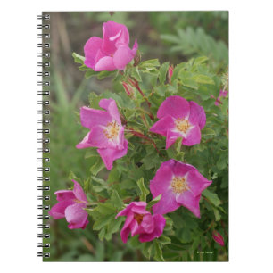 F46 Wilde Rozen Notitieboek