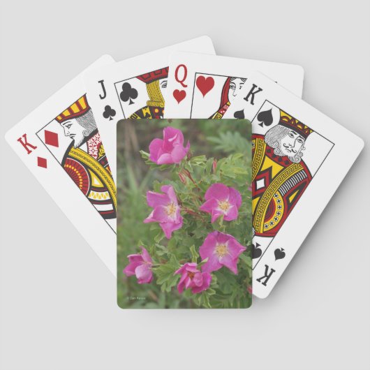 F46 Wilde Rozen Pokerkaarten (Achterkant)