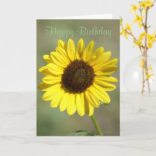F47 Gele wilde bloem Vaak Zonnebloem Kaart (Gele Bloem)