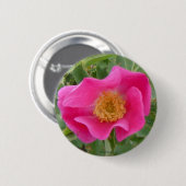 F4 Alberta Wilde Roos Ronde Button 5,7 Cm (Voorkant /achterkant)