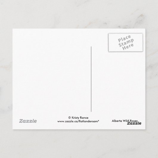 F4 Alberta Wilde Rozen Briefkaart (Achterkant)