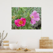 F4 Alberta Wilde Rozen Poster (Keuken)