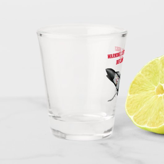 F4 Navy Phantom  Shot Glas (Links)