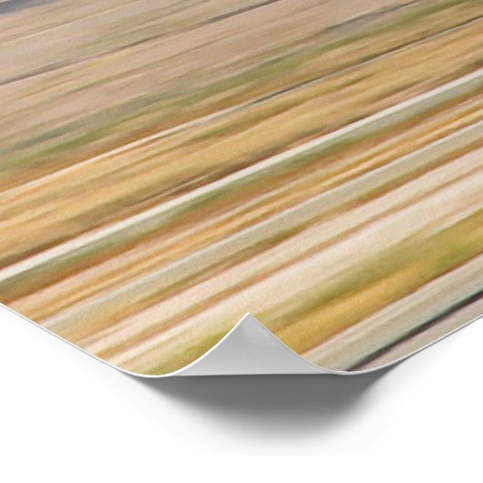 F4 Phantom Low Pass Poster (Hoek)