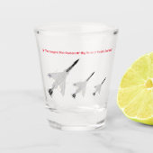 F4 Phantom Shot Glass Funny Glas (Voorkant)