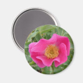 F4 Wilde Roos Magneet (Voorkant / Achterkant)