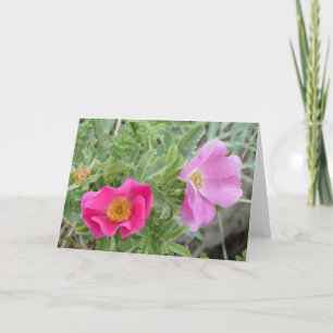 F4 Wilde Rozen Kaart