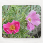 F4 Wilde Rozen Muismat (Voorkant)