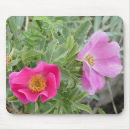 F4 Wilde Rozen Muismat