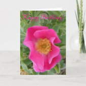 F4a Wilde Roos Kaart (Voorkant)