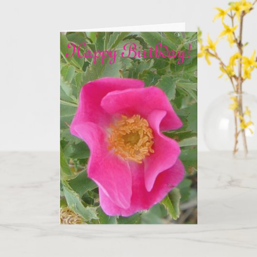 F4a Wilde Roos Kaart (Gele Bloem)